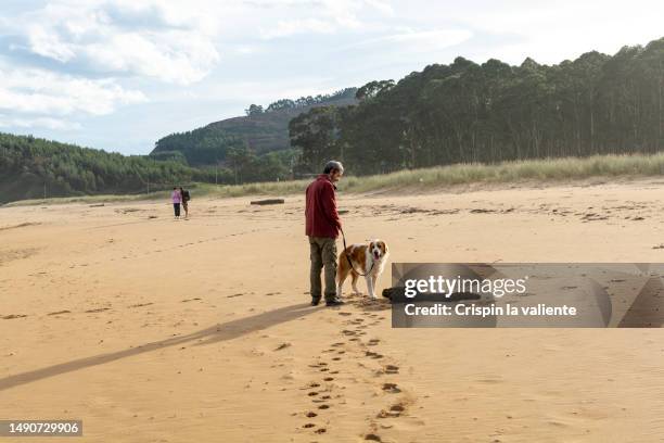 mature man walking dog on leash on the winter beach - middle age man and walking the dog stockfoto's en -beelden