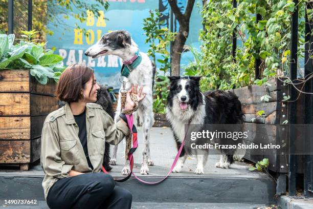 pet sitter taking a break after to do walk with the dogs in the city - pet equipment stock pictures, royalty-free photos & images