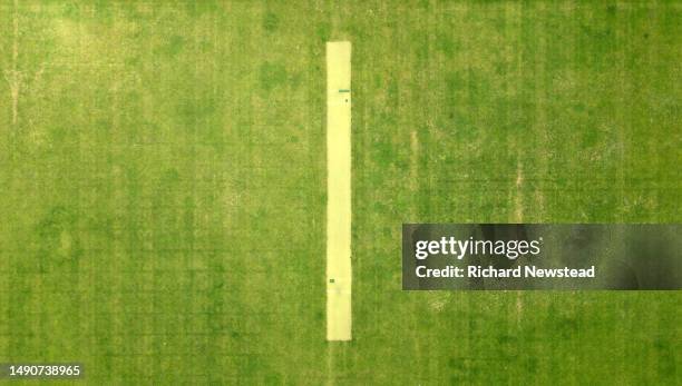 tufted cricket wicket - cricket field stock pictures, royalty-free photos & images