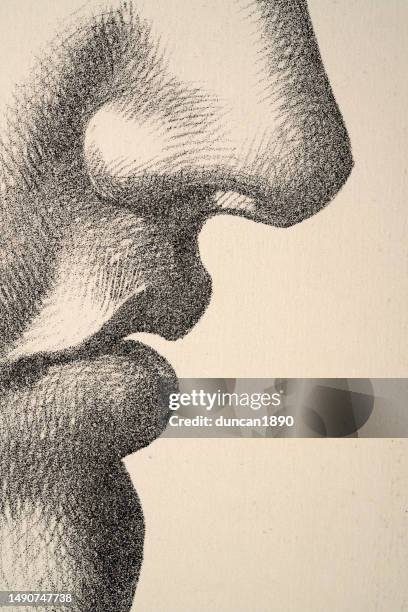 stockillustraties, clipart, cartoons en iconen met vintage illustration close up detail of the human face, nose, lips, smell, taste 19th century - ruiken