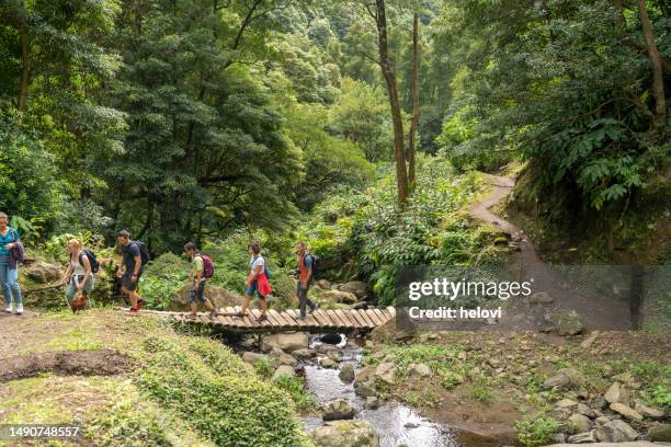tourists hiking in faial da terra, sao miguel island in azores - azores stock pictures, royalty-free photos & images