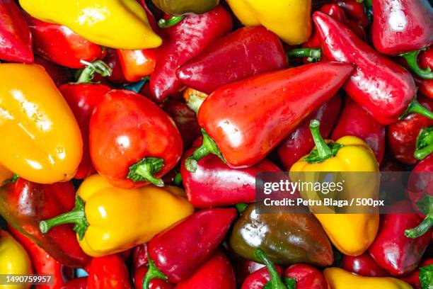 fresh ripe red and yellow bell pepper background,romania - red bell pepper fotografías e imágenes de stock