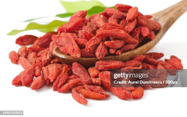 red dried goji berries in wooden spoon,romania - goji berry stock pictures, royalty-free photos & images