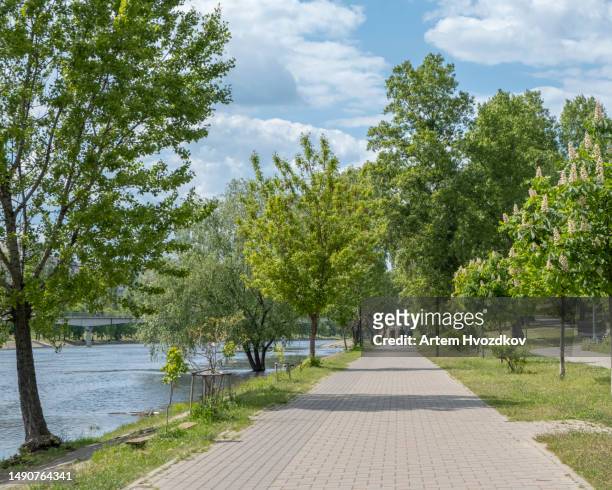 brick sidewalk near the river at public park - kyiv spring stock pictures, royalty-free photos & images