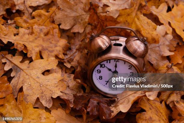 autumn fall leaves and alarm clock autumn time concept,romania - decoding the beauty of time stock-fotos und bilder