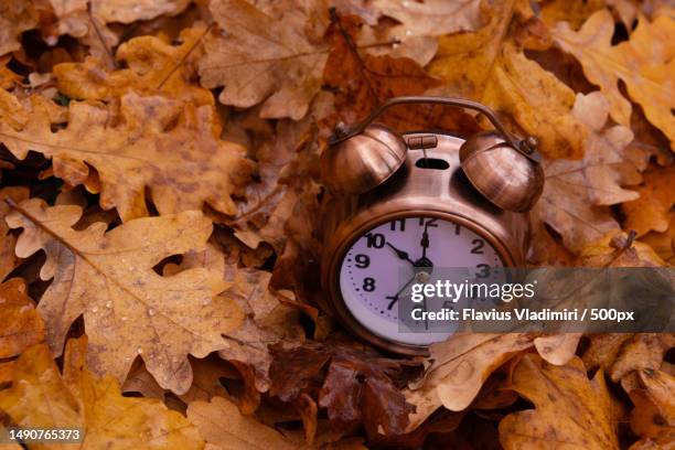 autumn fall leaves and alarm clock autumn time concept,romania - daylight saving time foto e immagini stock
