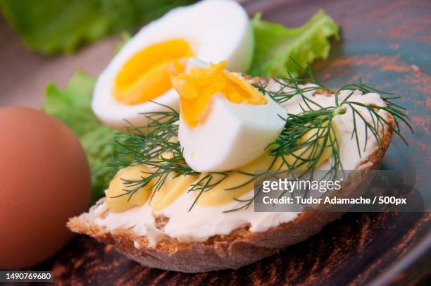 slice of bread with mustard and cheese sauce and egg,romania - boiled egg stock pictures, royalty-free photos & images