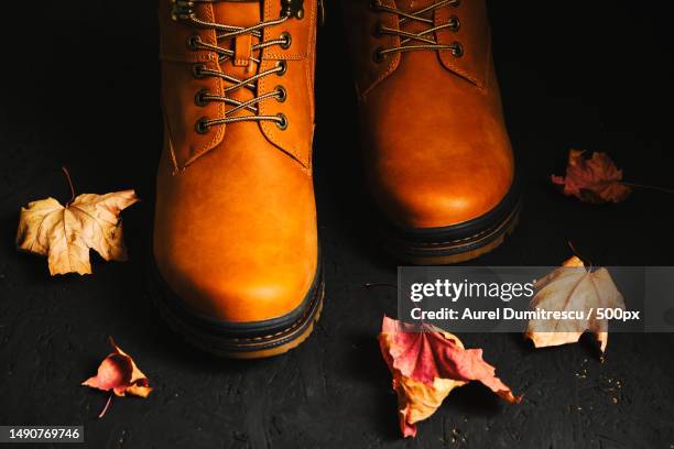 brown autumn boots on a black background with scattered maple leaves,romania - black lace background stock pictures, royalty-free photos & images