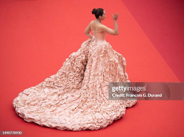 Araya Hargate attends the "Jeanne du Barry" Screening & opening ceremony red carpet at the 76th annual Cannes film festival at Palais des Festivals...