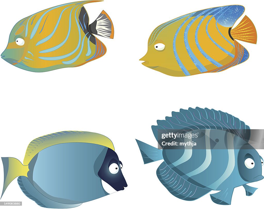 Spec Fish Vector Vector Fish Set High-Res Vector Graphic - Getty Images