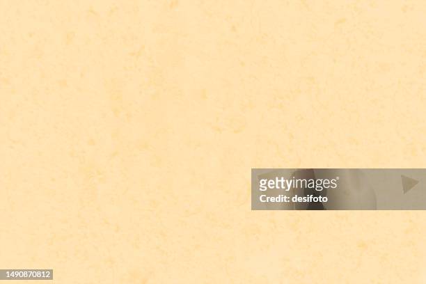 very light brown or beige or khaki colored grunge textured effect weathered rustic texture over old horizontal plain empty blank vector background - savannah stock illustrations
