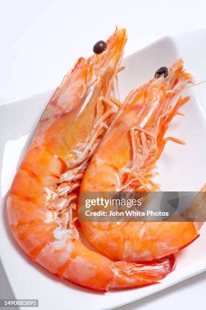 two cooked prawns on a plate - cooked shrimp stock pictures, royalty-free photos & images