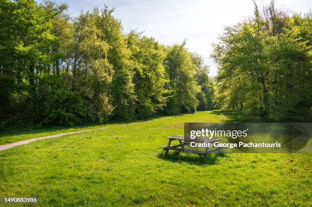 wooden picnic table in a forest clearing - empty picnic table stock pictures, royalty-free photos & images