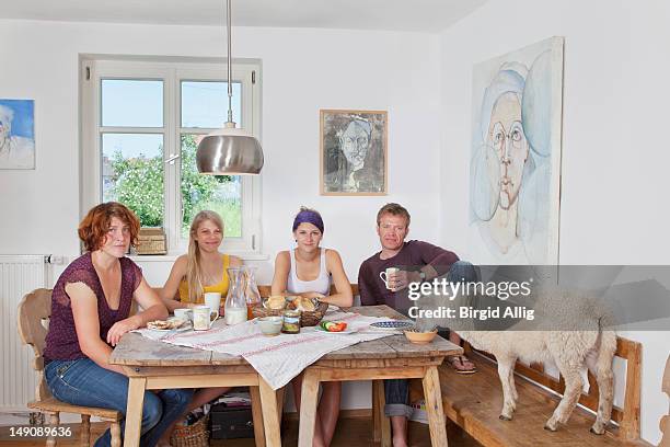family with sheep having breakfast - sheep funny stock pictures, royalty-free photos & images