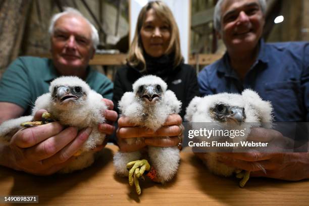 Nigel Jones from the British Trust for Ornithology , , Ruth Churchill, and Phil Sheldrake, the Cathedral’s Nature Conservation Adviser pose with...