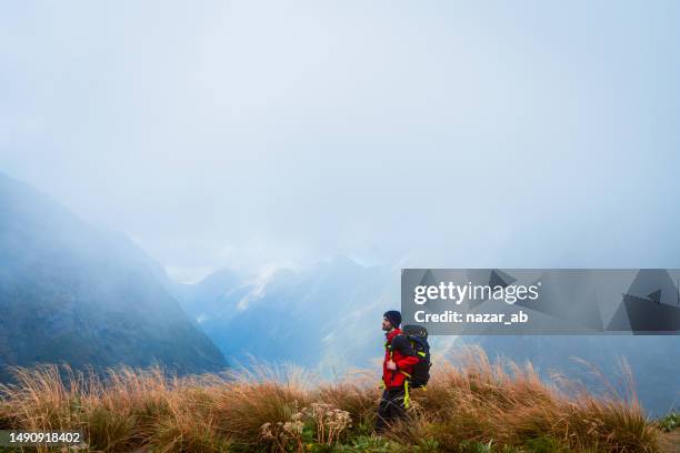 alleinreisende wandern mit professioneller reiseausrüstung zum berggipfel. - milford track stock-fotos und bilder