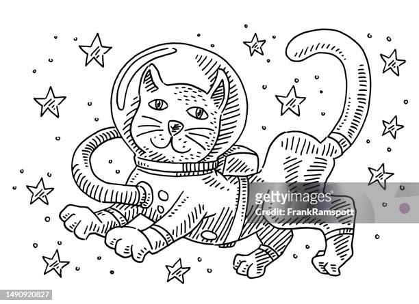 cartoon cat in space suit drawing - pet clothing stock illustrations