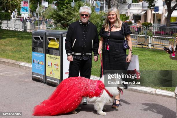 Pedro Almodovar is seen posing for a picture with a fan outside "Le Majestic" Hotel during the 76th Cannes film festival on May 17, 2023 in Cannes,...