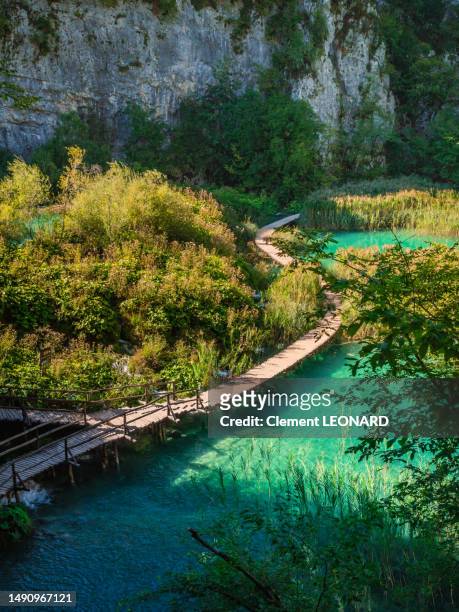hiking wooden trail meandered around waterfalls and lakes, plitvice national park (plitvička jezera),  croatia - nationalpark plitvicer seen stock-fotos und bilder