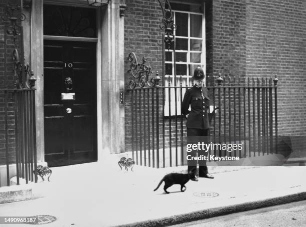 Police officer looks down at a passing cat as he stands guard before the door to 10 Downing Street, the official residence of the UK Prime Minister,...