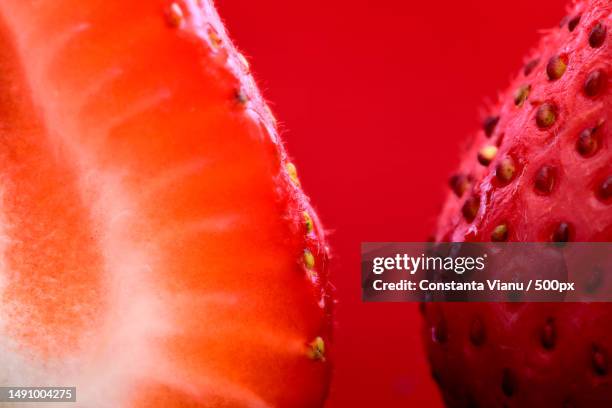 close-up of strawberries,romania - images 個照片及圖片檔