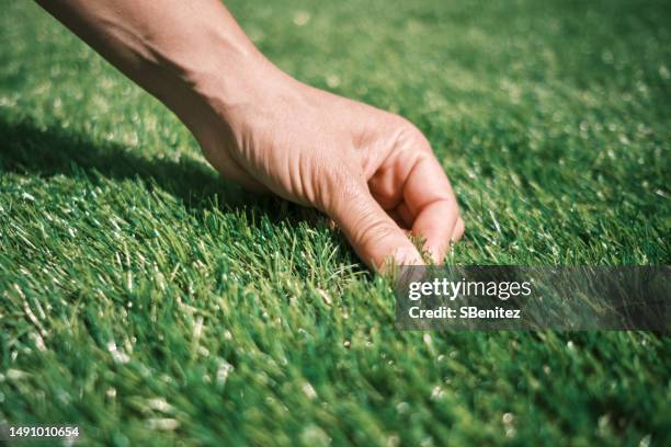 artificial grass to decorate a garden - turf installation stock pictures, royalty-free photos & images