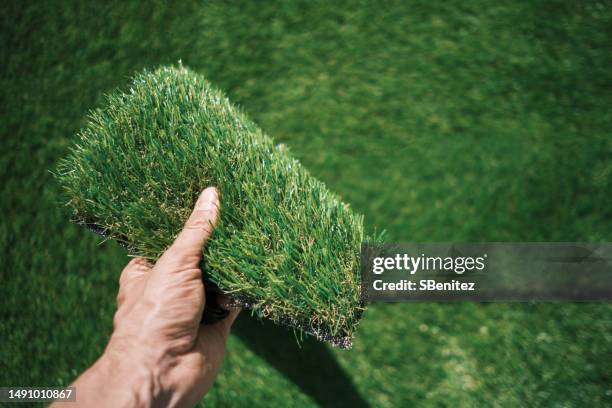 human hand holding a roll of artificial grass - white turf stock-fotos und bilder