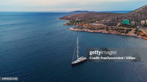 Vari Innes 1,118 Vari Stock Photos, High-Res Pictures, and Images - Getty Images