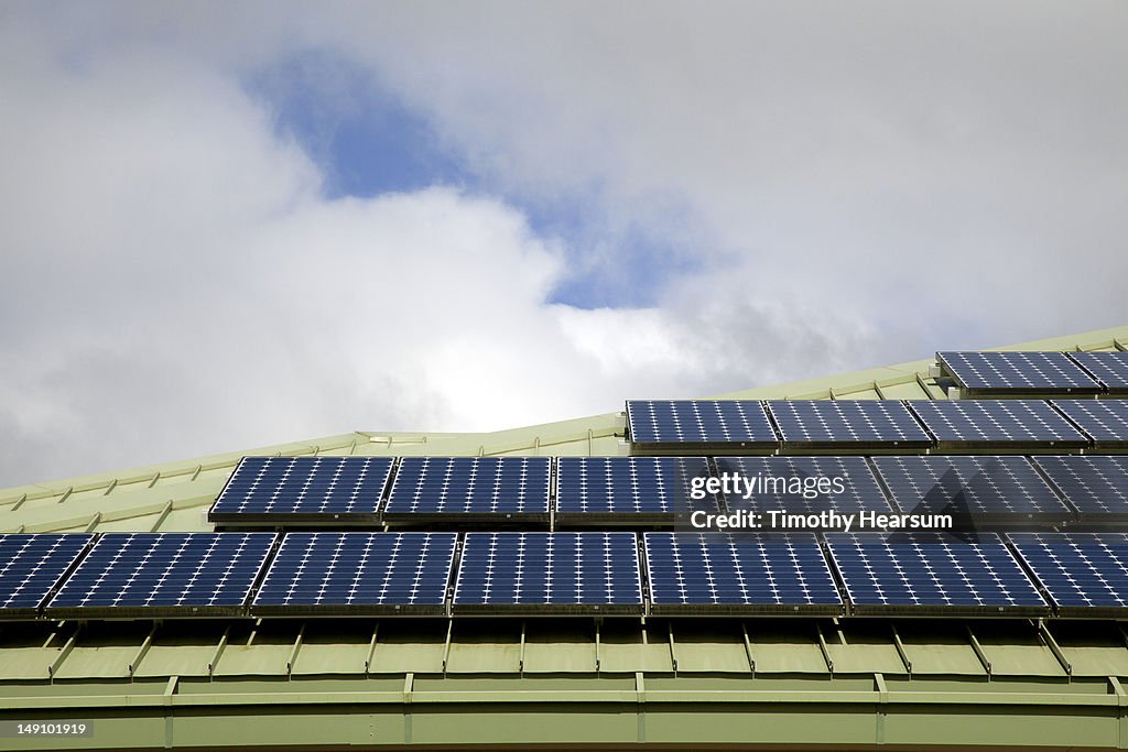Solar panels on green rooftop