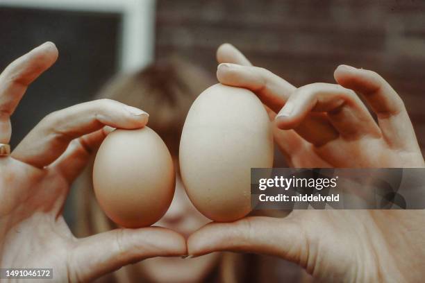 showing a big egg - petite cuisine stock pictures, royalty-free photos & images