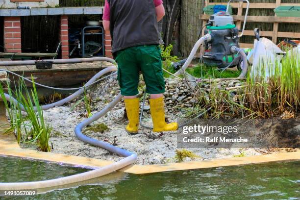 the pond maintenance. at work with the water hose. bavaria, germany. - pond stock pictures, royalty-free photos & images