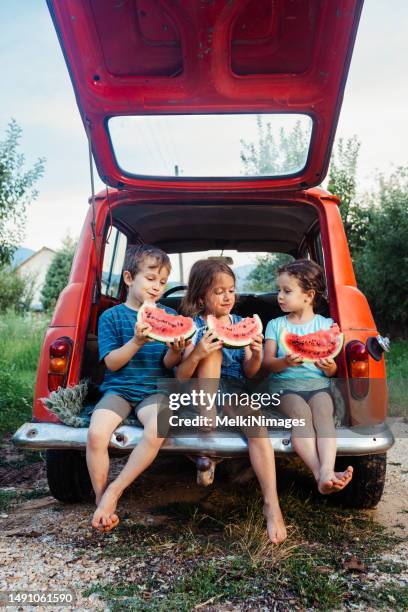 children sitting in a car and eating slices of watermelon - watermelon picnic stock pictures, royalty-free photos & images