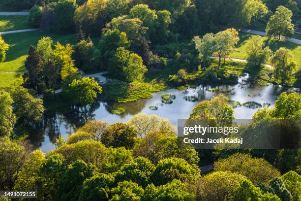 skaryszewski park from above - warsaw stock pictures, royalty-free photos & images