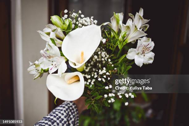 happy mother's day! - aronskelk stockfoto's en -beelden