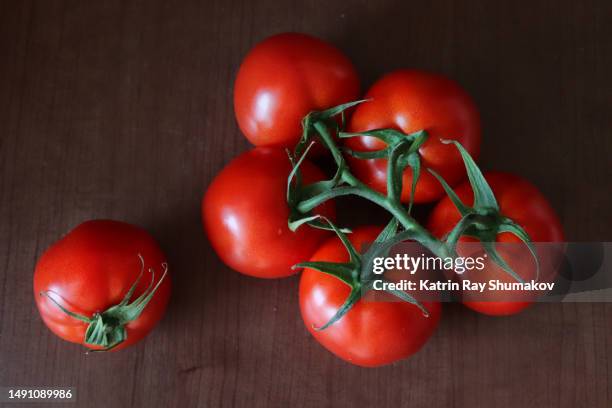 tomatoes on-the-vine - eiertomate stock-fotos und bilder