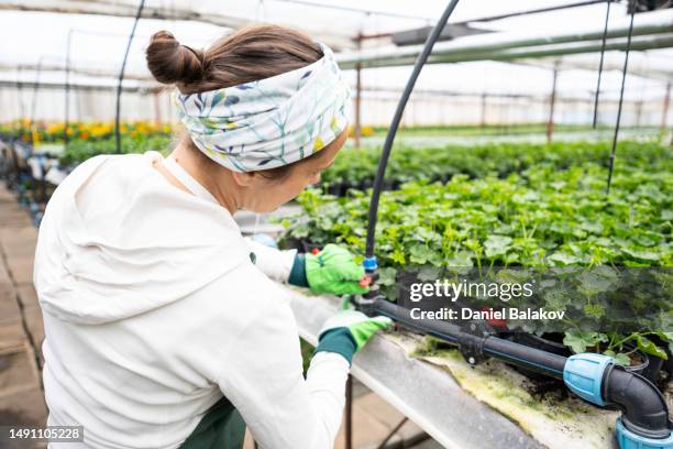 woman gardener working in greenhouse. smart farming. - digital farming stock pictures, royalty-free photos & images