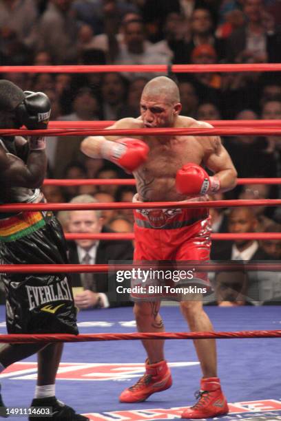 Miguel Cotto defeats Joshua Clottey by Spit Decision during their Welterweight fight at Madison Square Garden on June 13th, 2009 in New York City.