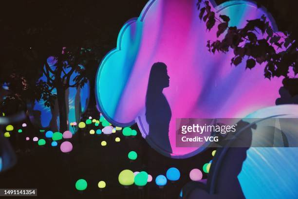 The shadow of a tourist is projected onto an art installation during 2023 Beijing International Light and Shadow Art Season at Yuyuantan Park on May...