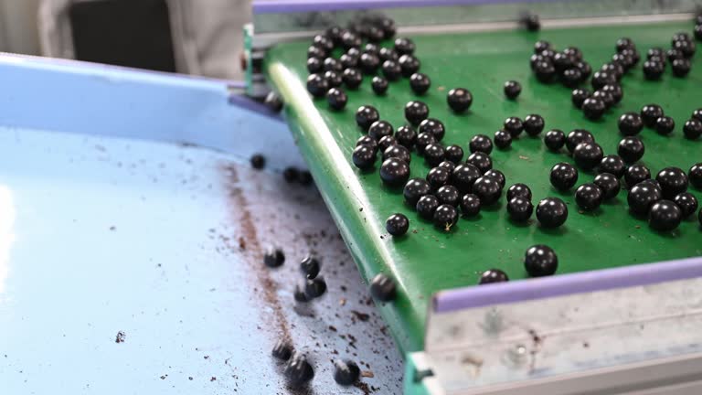 Assembly Line Sorting 14 Isometric Assembly Line Stock Videos, Footage, & 4K Video Clips ...