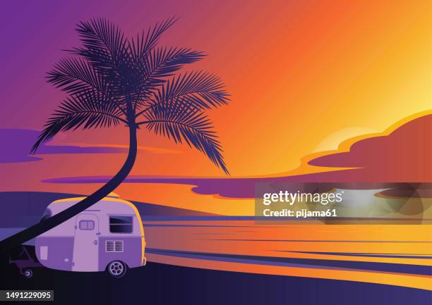 vektorillustration der natürlichen landschaft des tropischen strandes des sonnenuntergangs - pazifikinseln stock-grafiken, -clipart, -cartoons und -symbole