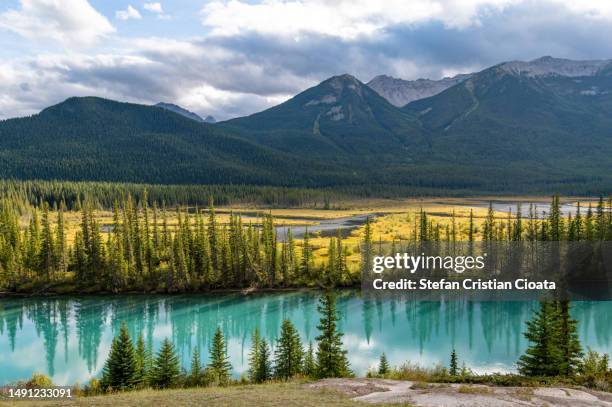 bow river in banff national park, canada - bow river stockfoto's en -beelden