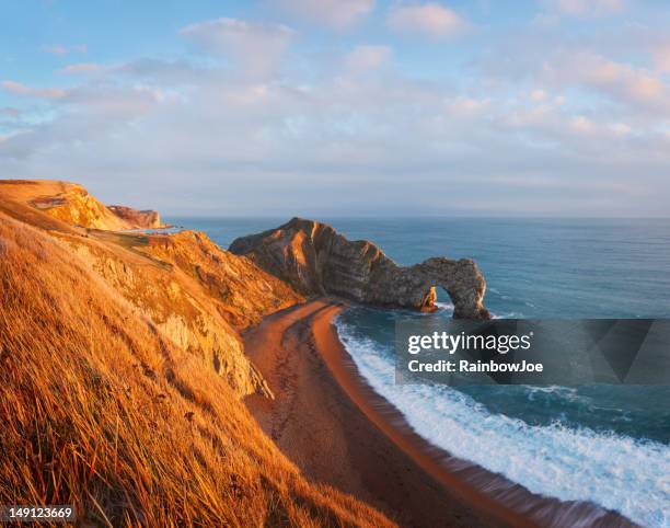 durdle door - dorset uk stock pictures, royalty-free photos & images