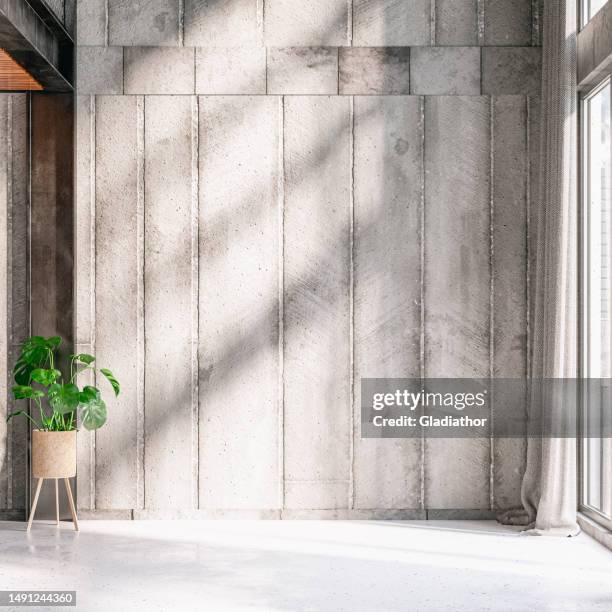 modern industrial unfurnished living room with high ceilings, industrial windows, and decoration in front of a concrete wall background with copy space - monstera stockfoto's en -beelden