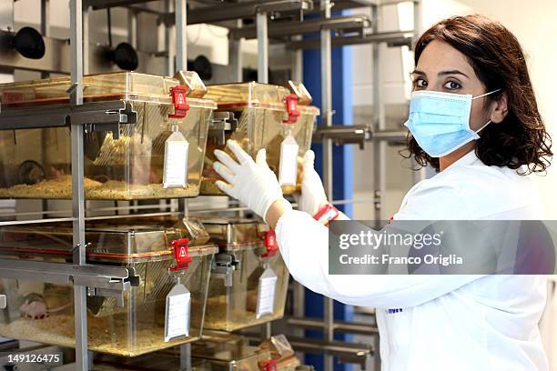 An employee works at the NSA radiopharmaceutical plant on July 08, 2011 in Aedea Rome, Italy. Nuclear Specialists Associated, Radiopharmacy,...