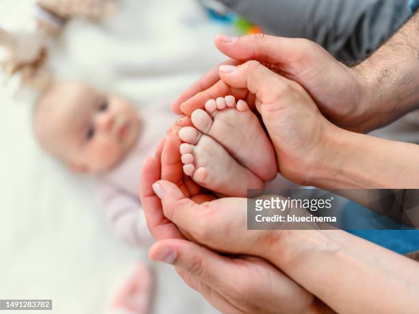 baby feet in parent's hands - little feet stock pictures, royalty-free photos & images