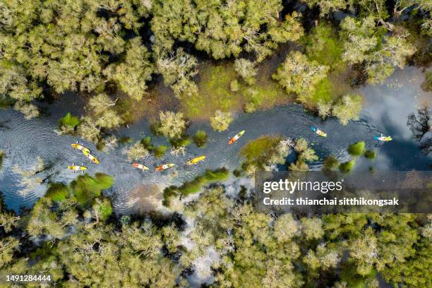 high angle view of a group of tourists paddling kayak or canoe on the lake with the trees. - kajakdisziplin stock-fotos und bilder