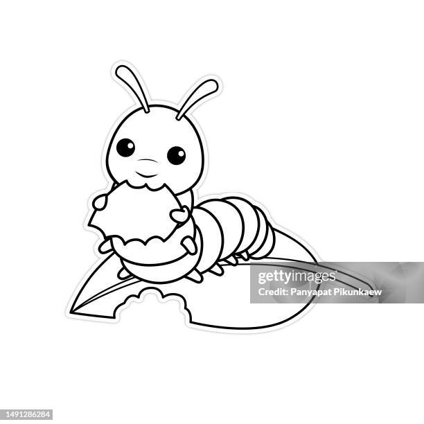 832 Black Worm Stock Photos, High-Res Pictures, and Images - Getty