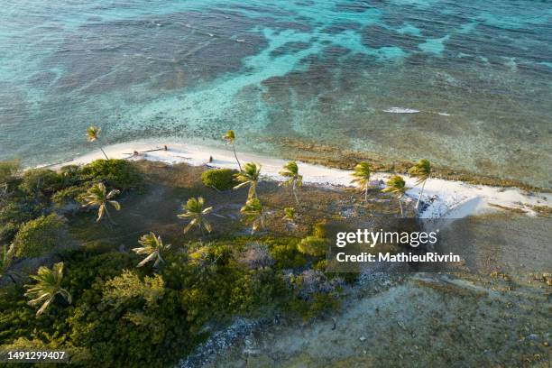 colors of grenadines : paradise on earth - insel st vincent stock-fotos und bilder