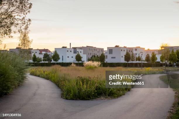 germany, bavaria, augsburg, forking footpath at sunset with suburban houses in background - housing development road stock pictures, royalty-free photos & images