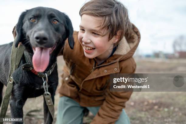 happy boy kneeling near labrador - zwarte-labrador-retriever stockfoto's en -beelden